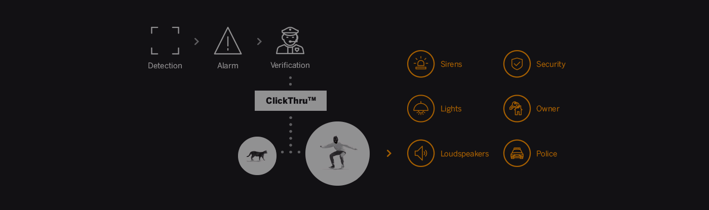 Verification process