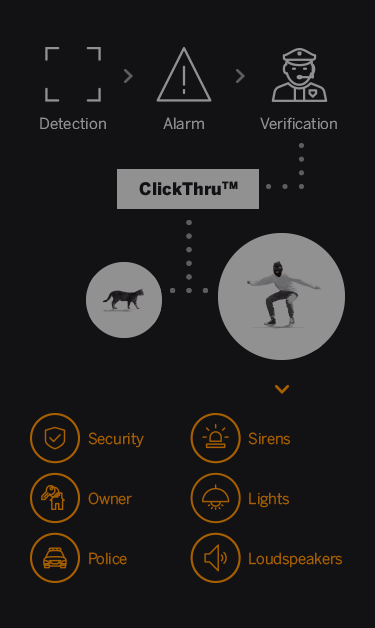 Verification process