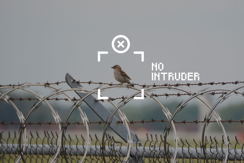 Intruder detection