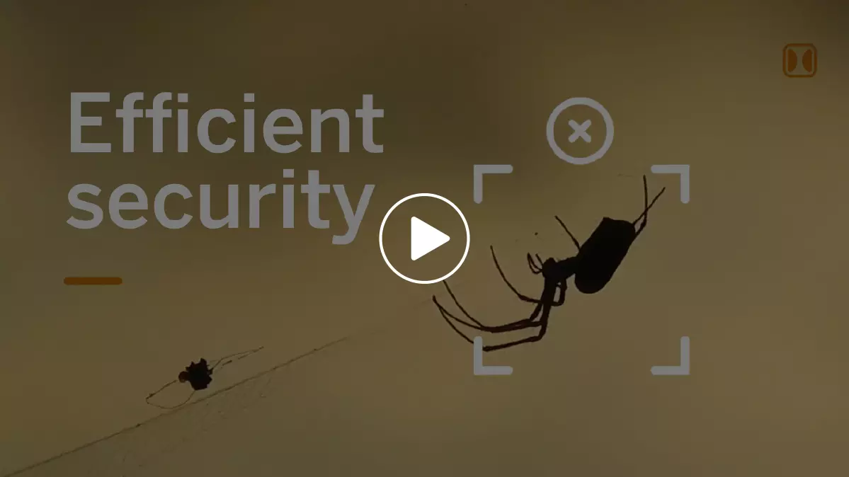 Efficient security Video Analytics