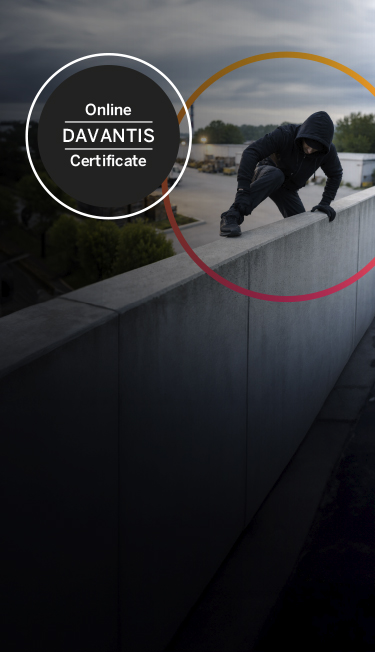 Advanced DFUSION /3 video analytics course