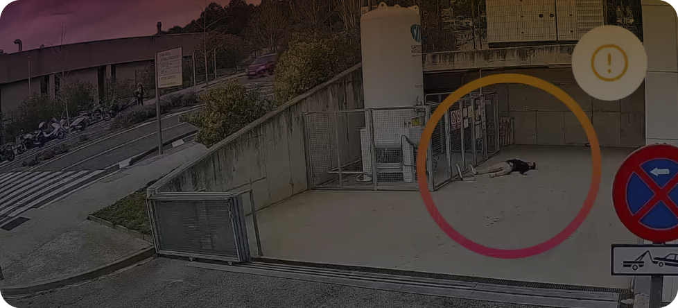 Formación DFUSION 3