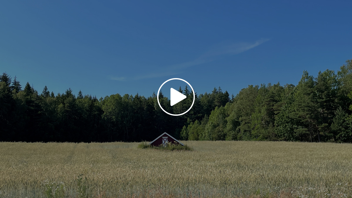 video-focus-portada Testimonial Focus Security Noruega